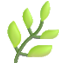Palia